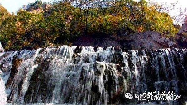 小狗爱旅行(小狗爱旅游)下载-专业的问答类网站